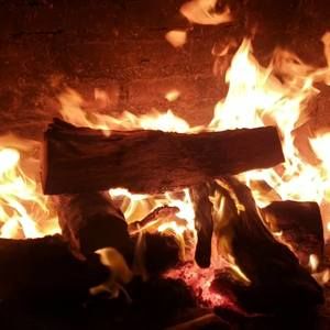 Meet your Posher, Joaquin